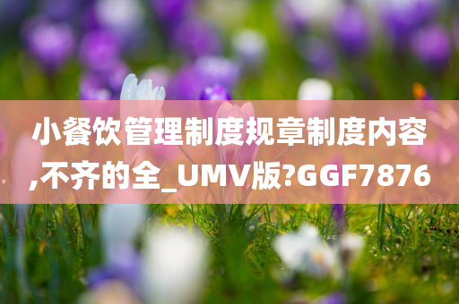 小餐饮管理制度规章制度内容,不齐的全_UMV版?GGF7876