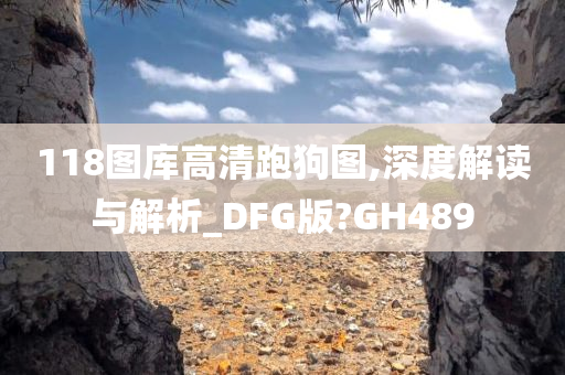 118图库高清跑狗图,深度解读与解析_DFG版?GH489