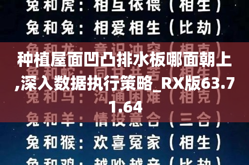 种植屋面凹凸排水板哪面朝上,深入数据执行策略_RX版63.71.64