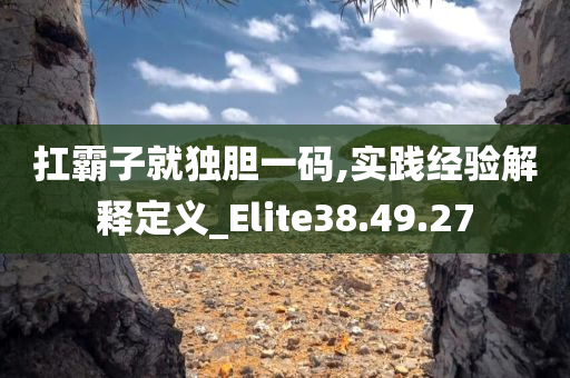 扛霸子就独胆一码,实践经验解释定义_Elite38.49.27