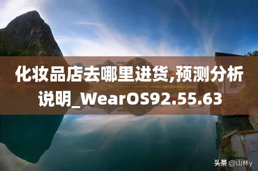 化妆品店去哪里进货,预测分析说明_WearOS92.55.63