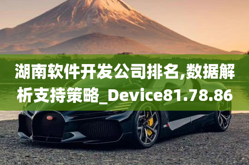 湖南软件开发公司排名,数据解析支持策略_Device81.78.86