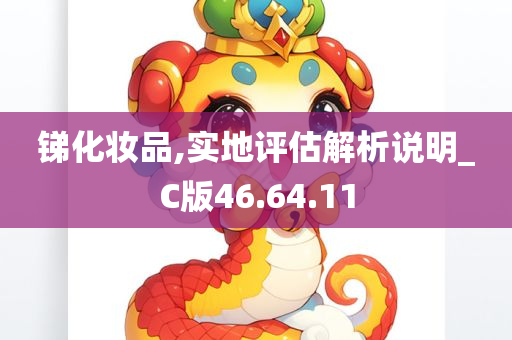 锑化妆品,实地评估解析说明_C版46.64.11