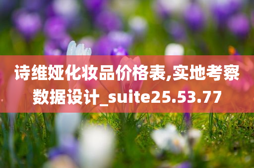 诗维娅化妆品价格表,实地考察数据设计_suite25.53.77