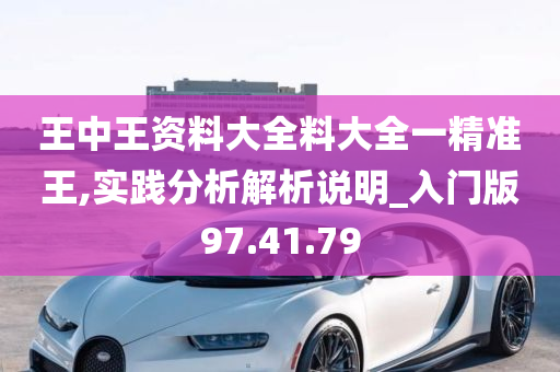 王中王资料大全料大全一精准王,实践分析解析说明_入门版97.41.79