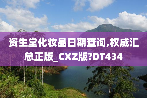 资生堂化妆品日期查询,权威汇总正版_CXZ版?DT434