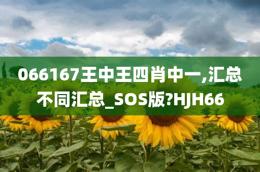 066167王中王四肖中一,汇总不同汇总_SOS版?HJH66