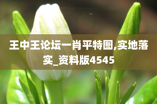 王中王论坛一肖平特图,实地落实_资料版4545