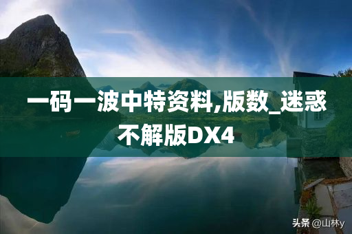 一码一波中特资料,版数_迷惑不解版DX4