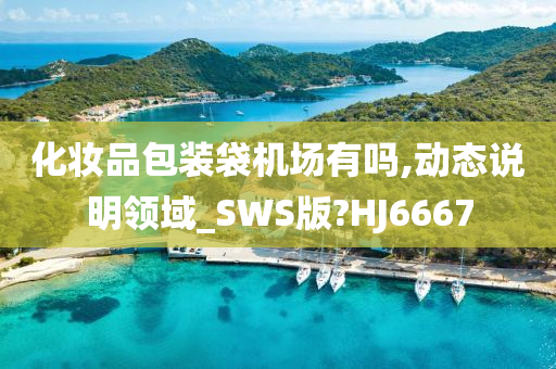 化妆品包装袋机场有吗,动态说明领域_SWS版?HJ6667