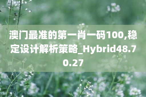 澳门最准的第一肖一码100,稳定设计解析策略_Hybrid48.70.27