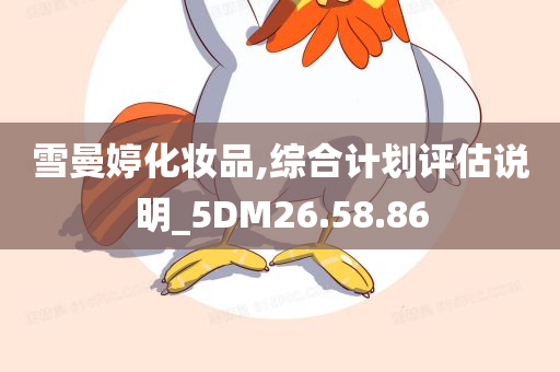 雪曼婷化妆品,综合计划评估说明_5DM26.58.86