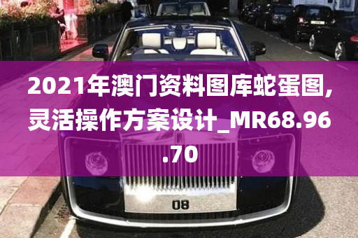 2021年澳门资料图库蛇蛋图,灵活操作方案设计_MR68.96.70