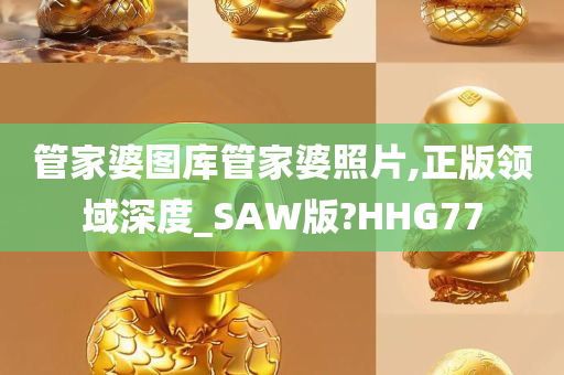 管家婆图库管家婆照片,正版领域深度_SAW版?HHG77