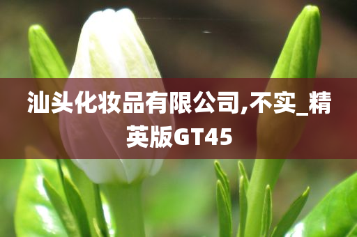 汕头化妆品有限公司,不实_精英版GT45