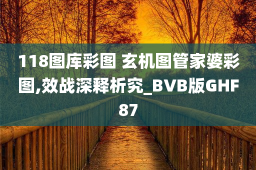 118图库彩图 玄机图管家婆彩图,效战深释析究_BVB版GHF87