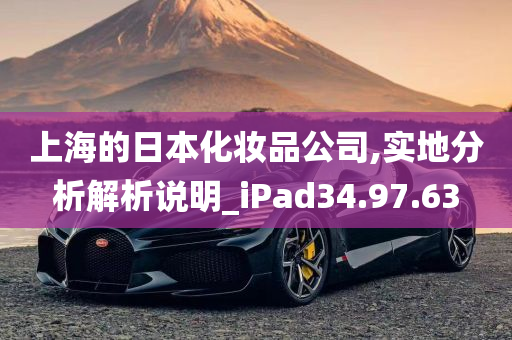 上海的日本化妆品公司,实地分析解析说明_iPad34.97.63