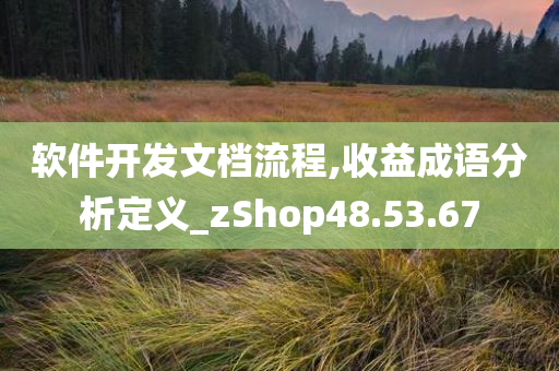 软件开发文档流程,收益成语分析定义_zShop48.53.67