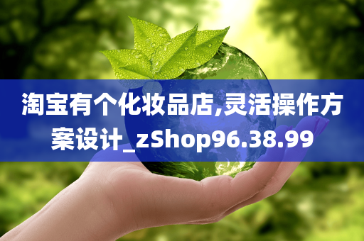 淘宝有个化妆品店,灵活操作方案设计_zShop96.38.99