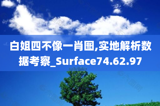 白姐四不像一肖图,实地解析数据考察_Surface74.62.97