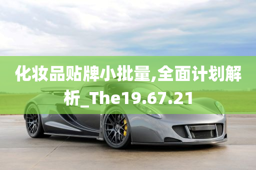 化妆品贴牌小批量,全面计划解析_The19.67.21