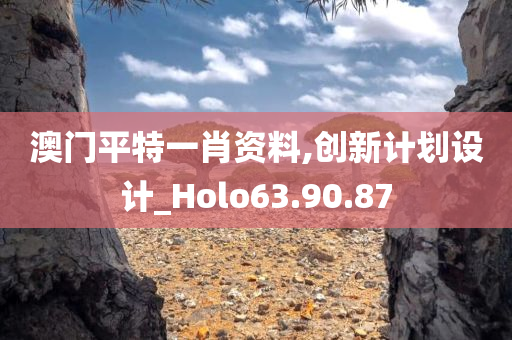 澳门平特一肖资料,创新计划设计_Holo63.90.87