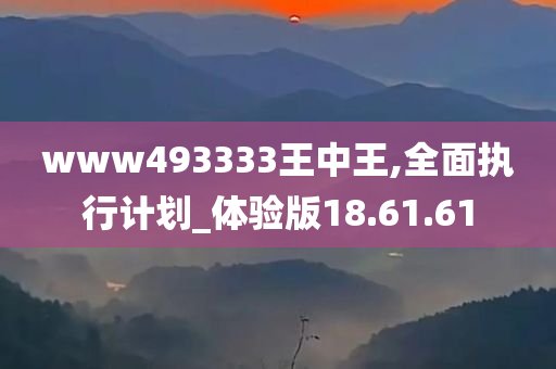 www493333王中王,全面执行计划_体验版18.61.61