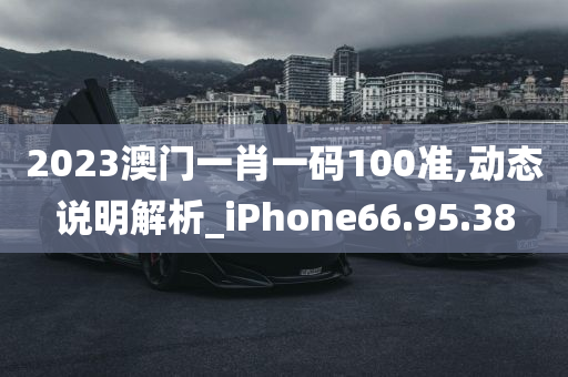 2023澳门一肖一码100准,动态说明解析_iPhone66.95.38