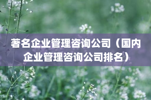 著名企业管理咨询公司（国内企业管理咨询公司排名）