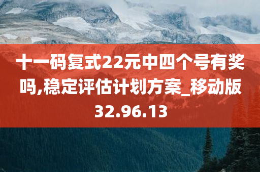 十一码复式22元中四个号有奖吗,稳定评估计划方案_移动版32.96.13