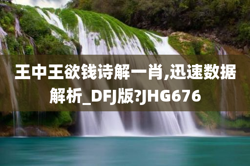 王中王欲钱诗解一肖,迅速数据解析_DFJ版?JHG676