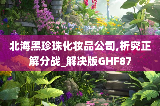 北海黑珍珠化妆品公司,析究正解分战_解决版GHF87