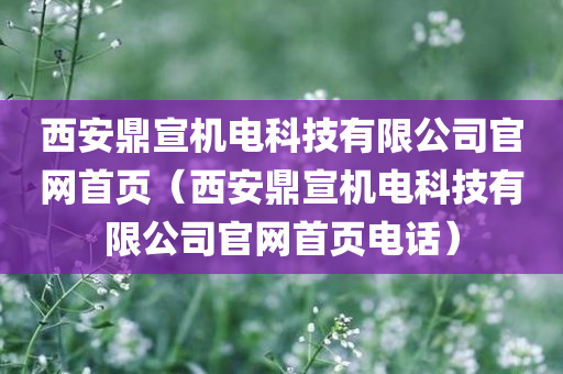 西安鼎宣机电科技有限公司官网首页（西安鼎宣机电科技有限公司官网首页电话）