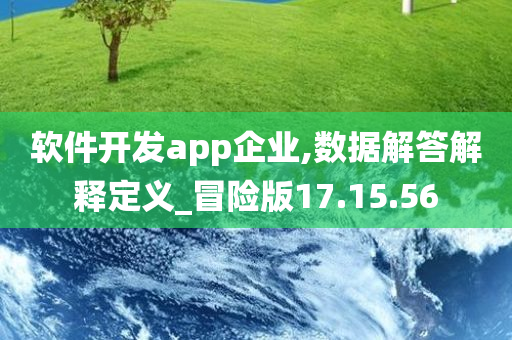 软件开发app企业,数据解答解释定义_冒险版17.15.56