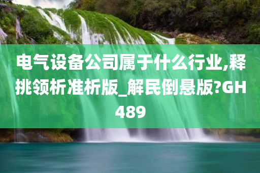 电气设备公司属于什么行业,释挑领析准析版_解民倒悬版?GH489