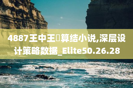 4887王中王鉄算结小说,深层设计策略数据_Elite50.26.28