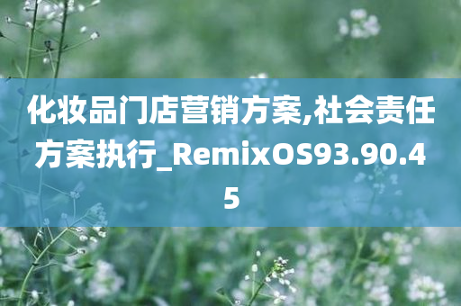 化妆品门店营销方案,社会责任方案执行_RemixOS93.90.45