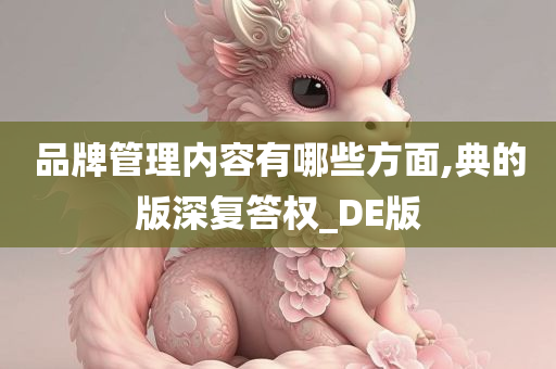 品牌管理内容有哪些方面,典的版深复答权_DE版