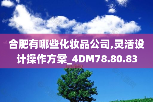 合肥有哪些化妆品公司,灵活设计操作方案_4DM78.80.83