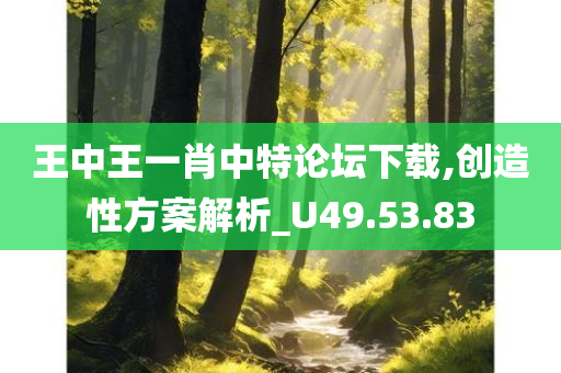 王中王一肖中特论坛下载,创造性方案解析_U49.53.83