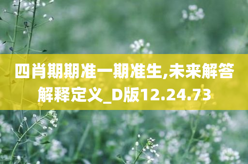 四肖期期准一期准生,未来解答解释定义_D版12.24.73