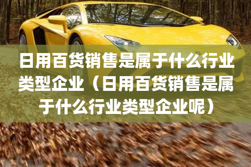 日用百货销售是属于什么行业类型企业（日用百货销售是属于什么行业类型企业呢）