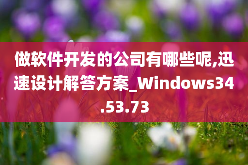 做软件开发的公司有哪些呢,迅速设计解答方案_Windows34.53.73