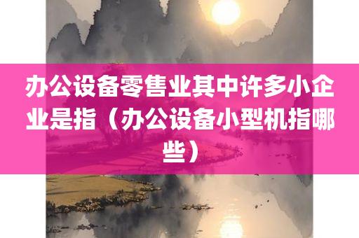 办公设备零售业其中许多小企业是指（办公设备小型机指哪些）