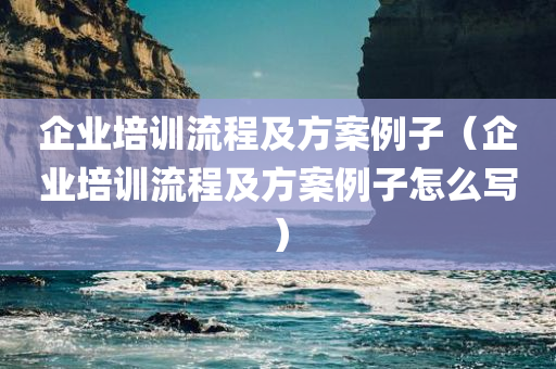 企业培训流程及方案例子（企业培训流程及方案例子怎么写）