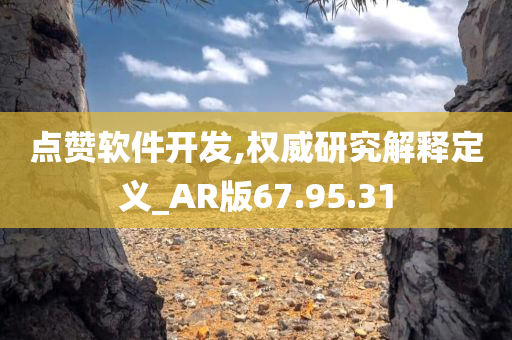 点赞软件开发,权威研究解释定义_AR版67.95.31