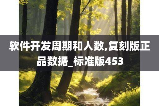 软件开发周期和人数,复刻版正品数据_标准版453