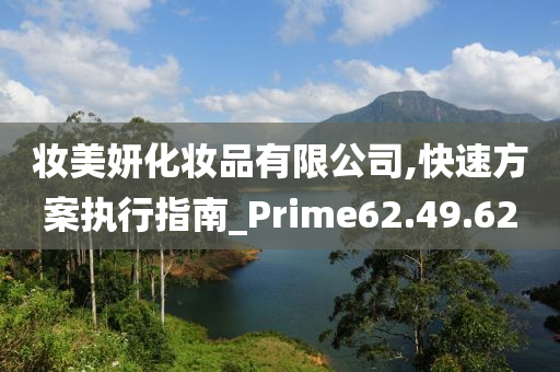 妆美妍化妆品有限公司,快速方案执行指南_Prime62.49.62