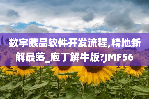 数字藏品软件开发流程,精地新解最落_庖丁解牛版?JMF56