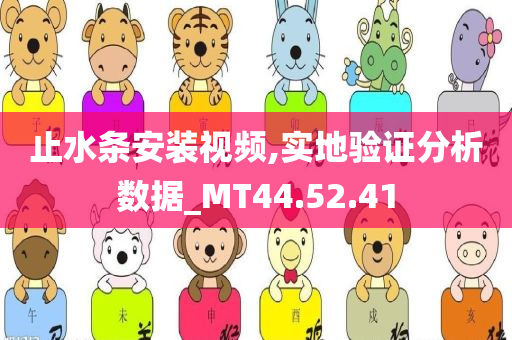 止水条安装视频,实地验证分析数据_MT44.52.41